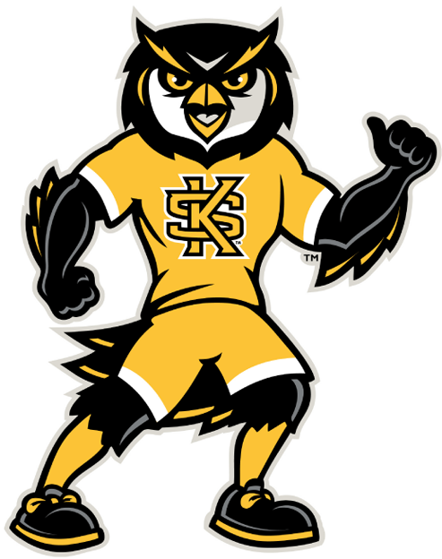 Kennesaw State Owls 2012-Pres Mascot Logo iron on transfers for T-shirts